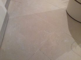 IMG 0071