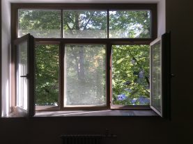 IMG 0084