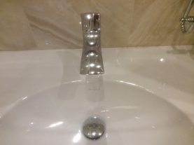 IMG 0110