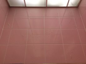 IMG 0121