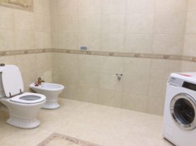IMG 0135 e1550696333438