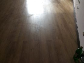 IMG 0206