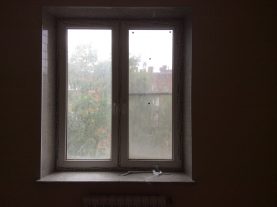 IMG 0223