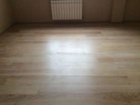 IMG 0225