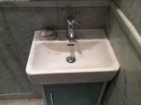 IMG 0227