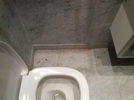 IMG 0230