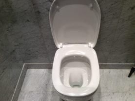 IMG 0240 e1550696971409
