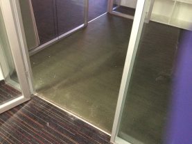 IMG 0315