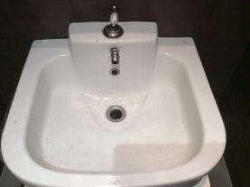 IMG 0339