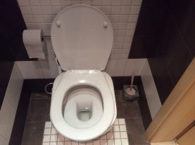 IMG 0340