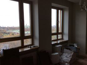 IMG 0381