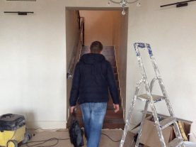 IMG 0382