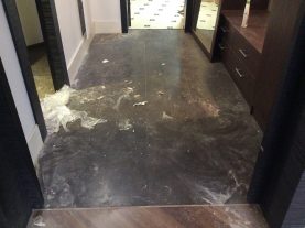 IMG 0434