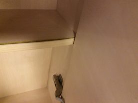 IMG 0455
