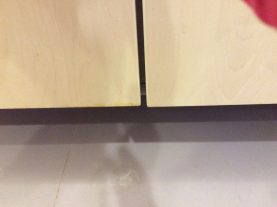 IMG 0458