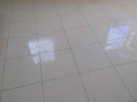 IMG 0504