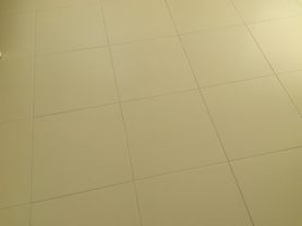 IMG 0505
