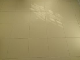 IMG 0508