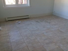 IMG 0514