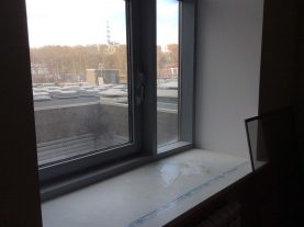 IMG 0525