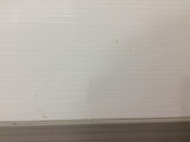 IMG 0527
