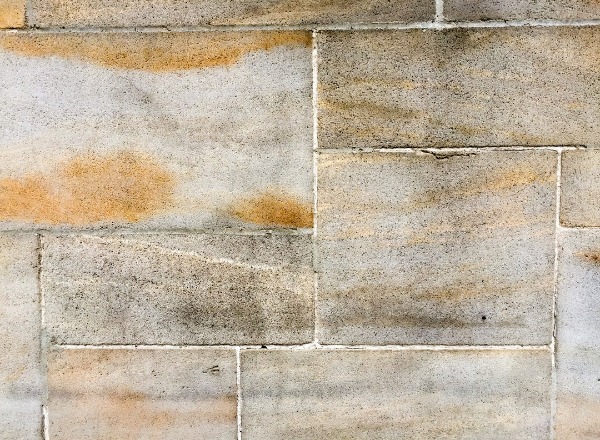 fig 23 02 2019 08 14 28
